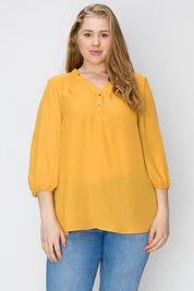 Plus Size V-Neck Solid Blouse