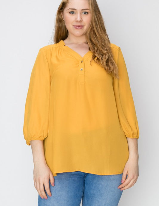 Plus Size V-Neck Solid Blouse