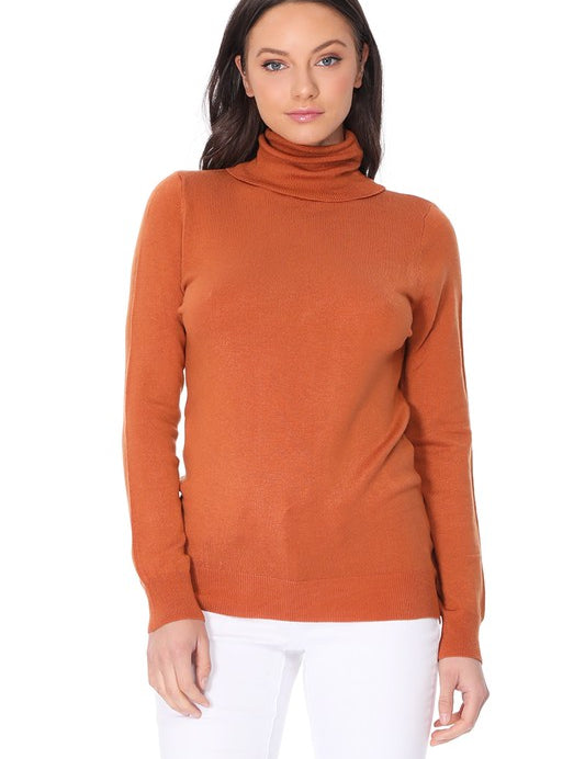 Women's Contemporary Turtleneck Spandex Pullover Sweater