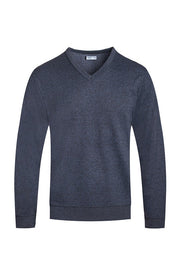 Men's Regular Fit Solid V-Neck Knit Sweater