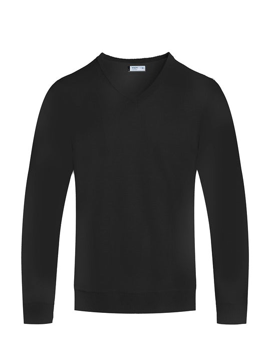 Men's Regular Fit Solid V-Neck Knit Sweater