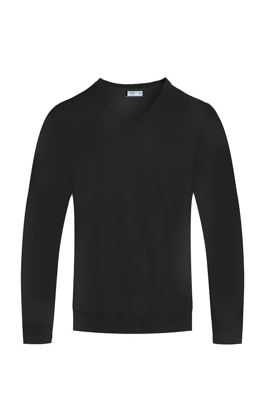 Men's Regular Fit Solid V-Neck Knit Sweater