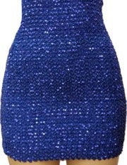 Women's Stretchy Sequin Tube Mini Dress with Zipper Back