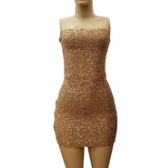 Women's Stretchy Sequin Tube Mini Dress with Zipper Back