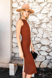 Brown Colorblock  knit Dress