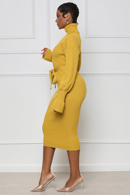 Women's Body-Con Long Sleeve Maxi Sweater Dress