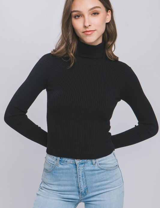 Turtleneck Ribbed Knit Sweater Top