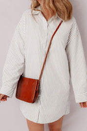 Women's Striped Long Sleeve Button-Up Mini Shirt Dress