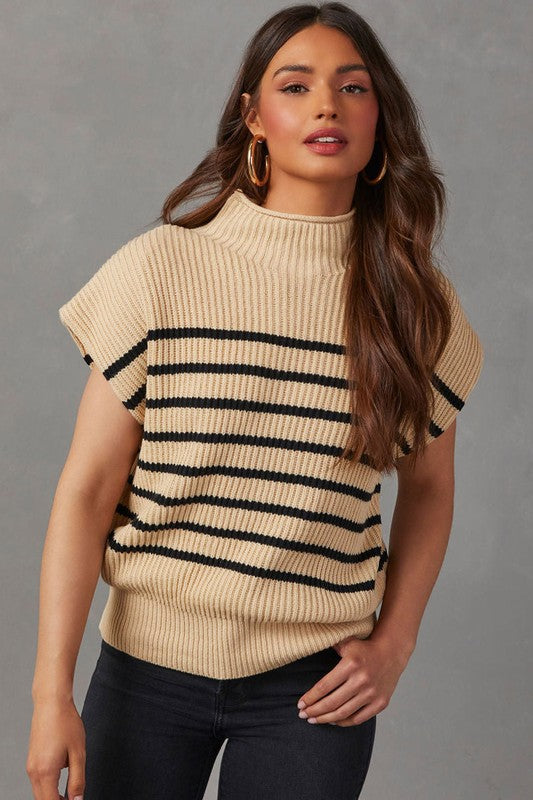 Women Striped Ribbed Knit High Neck Sweater