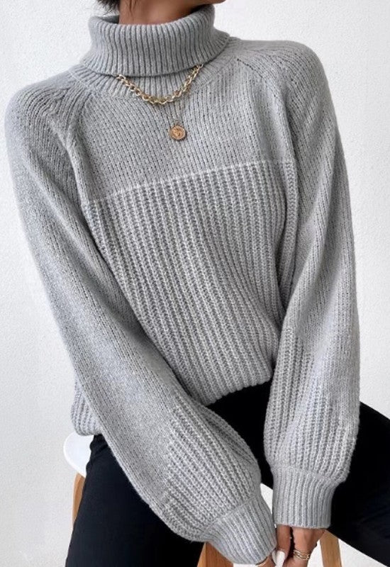 Women's Cozy Knit Turtleneck Sweater