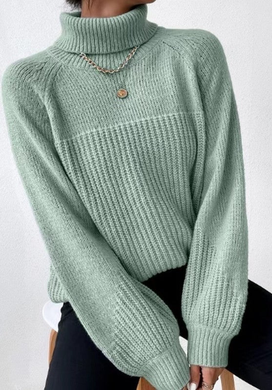 Women's Cozy Knit Turtleneck Sweater