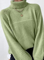 Women's Cozy Knit Turtleneck Sweater