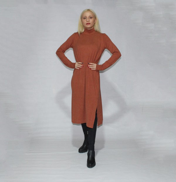 Women's Long Sleeve Turtle Neck Dress with Side Slits