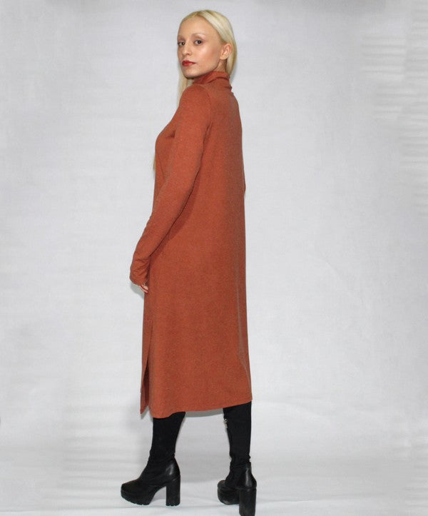 Women's Long Sleeve Turtle Neck Dress with Side Slits