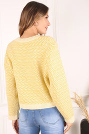 Women's Casual Herringbone Pattern Crew Neck Sweater