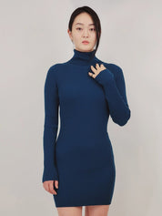 Ribbed Turtleneck Long Sleeve Slim Fit Mini Dress