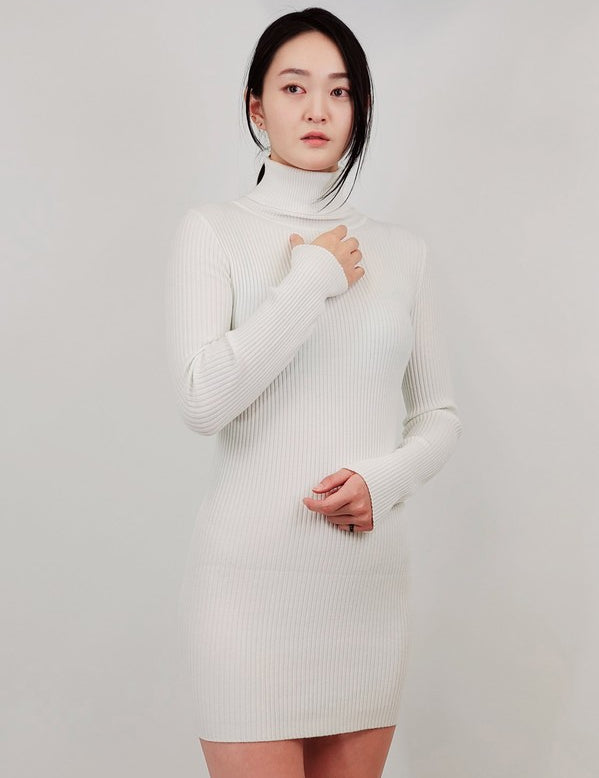 Ribbed Turtleneck Long Sleeve Slim Fit Mini Dress