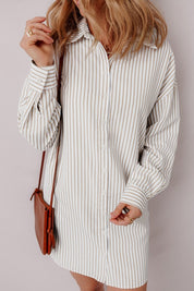 Women's Striped Long Sleeve Button-Up Mini Shirt Dress