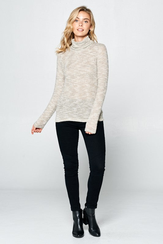 Women's Casual Regular Fit Long Sleeve Turtleneck Top